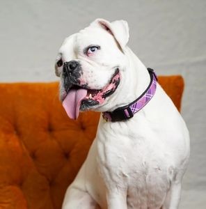 Meet your Posher, Angie